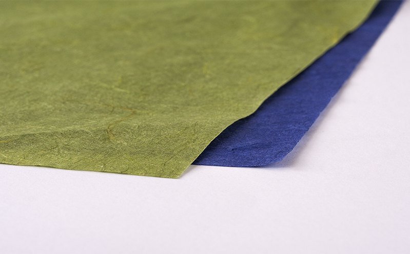 Japan- & Blumenseide