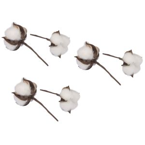 Baumwollblüten, 6cm ø