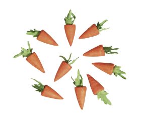 Karotte aus Watte, 18 mm