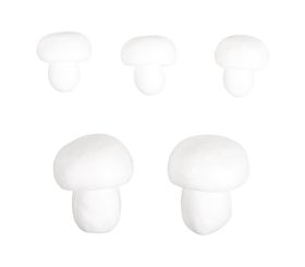 Styrofoam Mushrooms, assorted