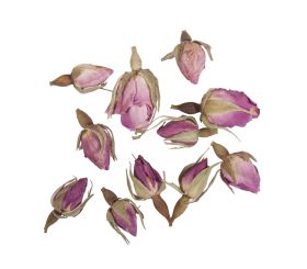 Blossoms - Rosebuds entirely pink