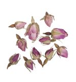 Blüten - Rosenknospen rosa ganz