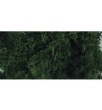 Icelandic moss, dark green