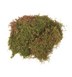 Moss, dried