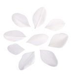 Federn geschnitten, weiß