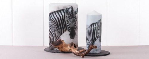 Celebrate your life!