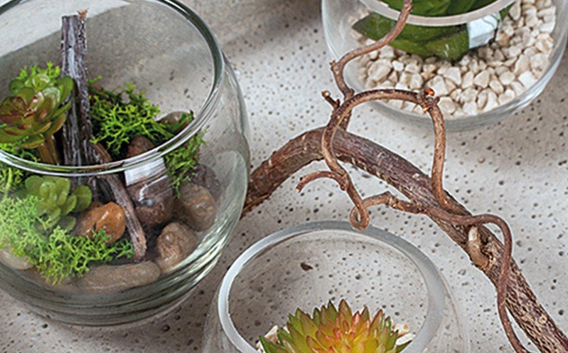 Beton-Schale mit Glasgefäßen