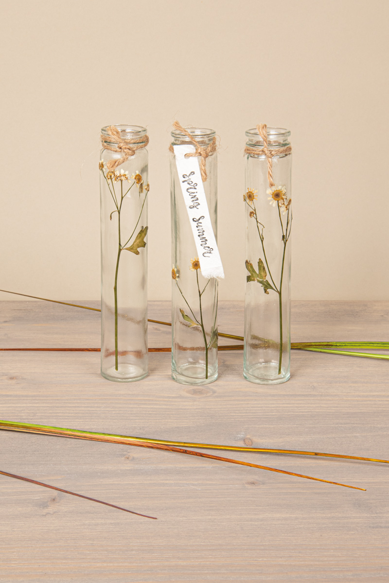 Vasen-Trio mit gepressten Blumen