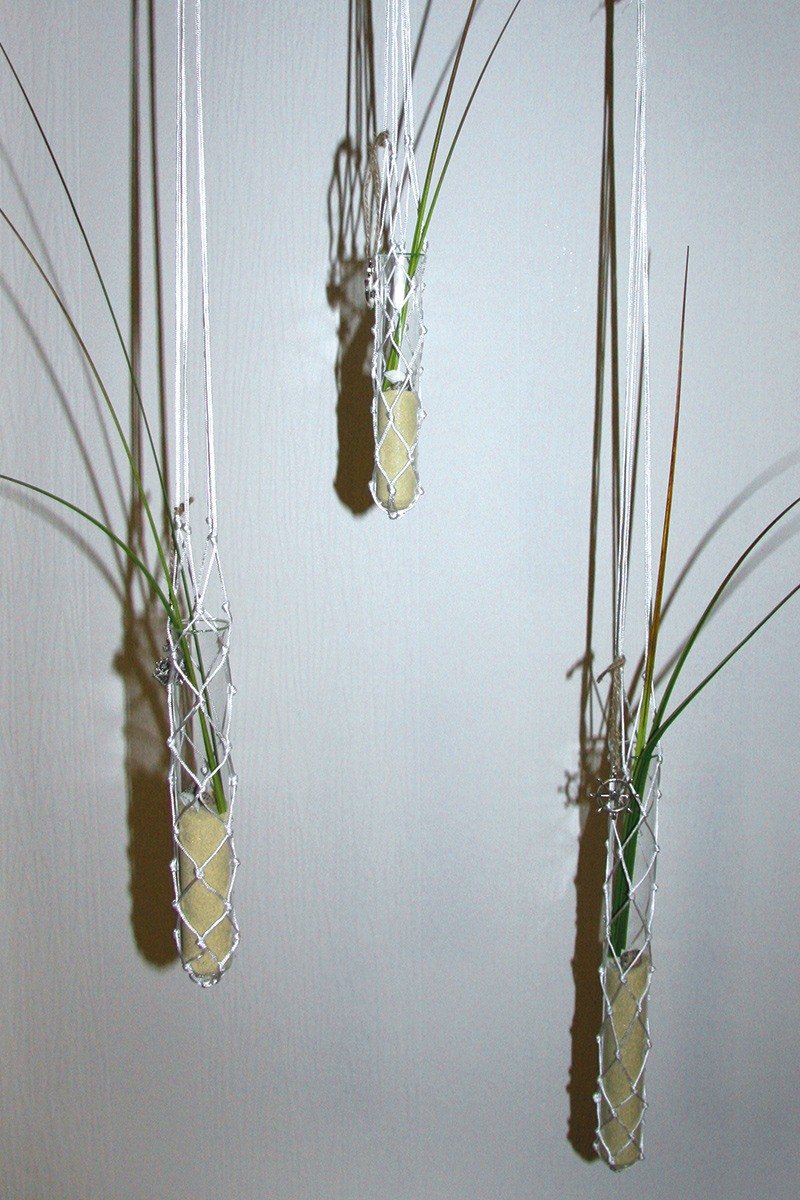 Geknüpfte Reagenzglas-Ampeln