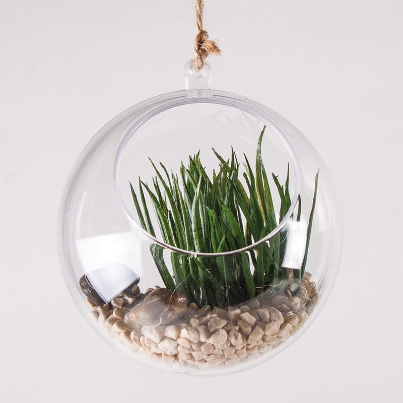 Hanging mini-garden 1