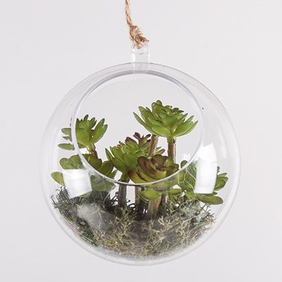 Hanging mini-garden 2