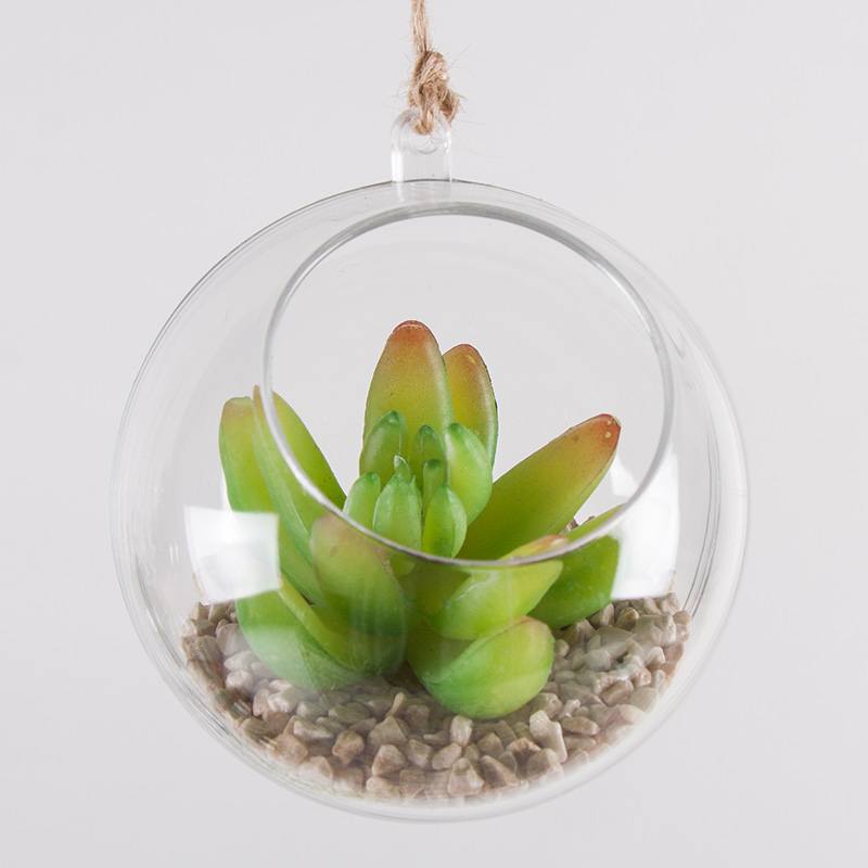 Hanging mini-garden 3