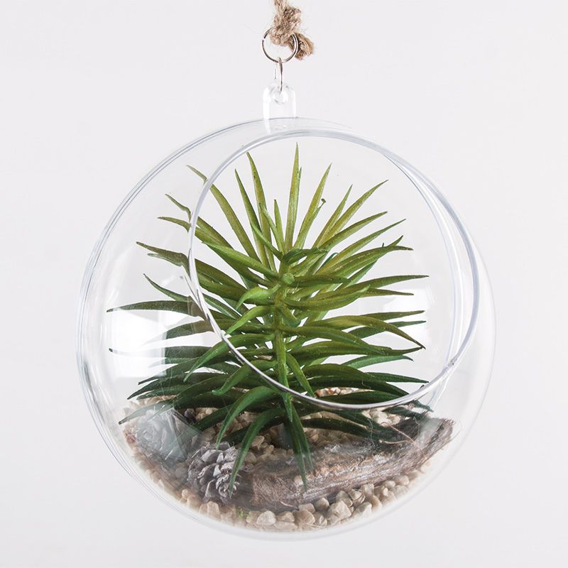 Hanging mini-garden 4