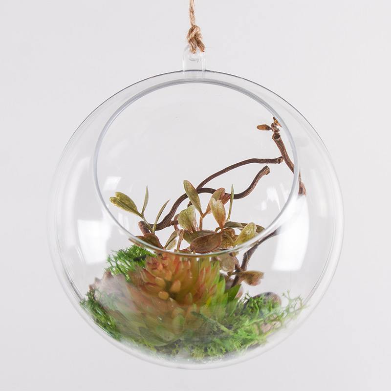 Hanging mini-garden 5