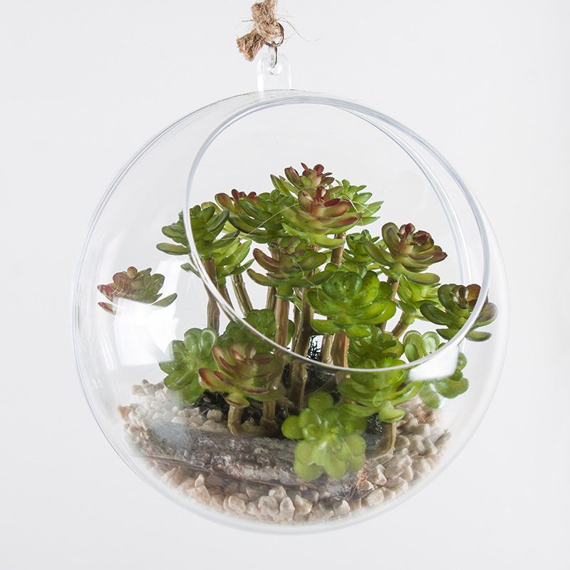 Hanging mini-garden 6