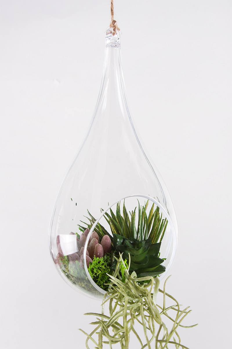 Hanging mini-garden 7