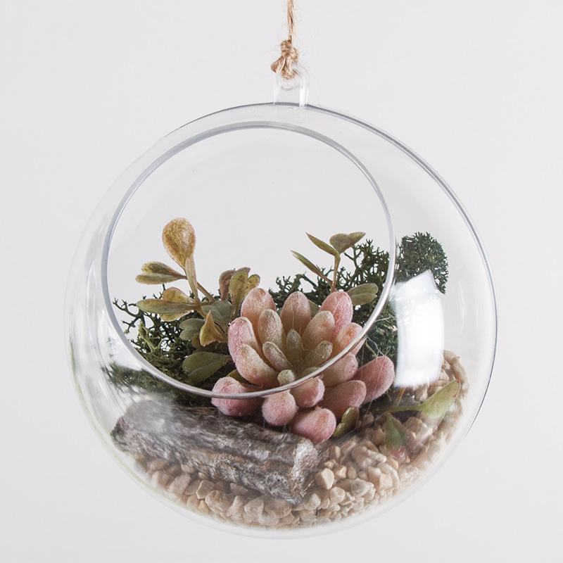 Hanging mini-garden 8