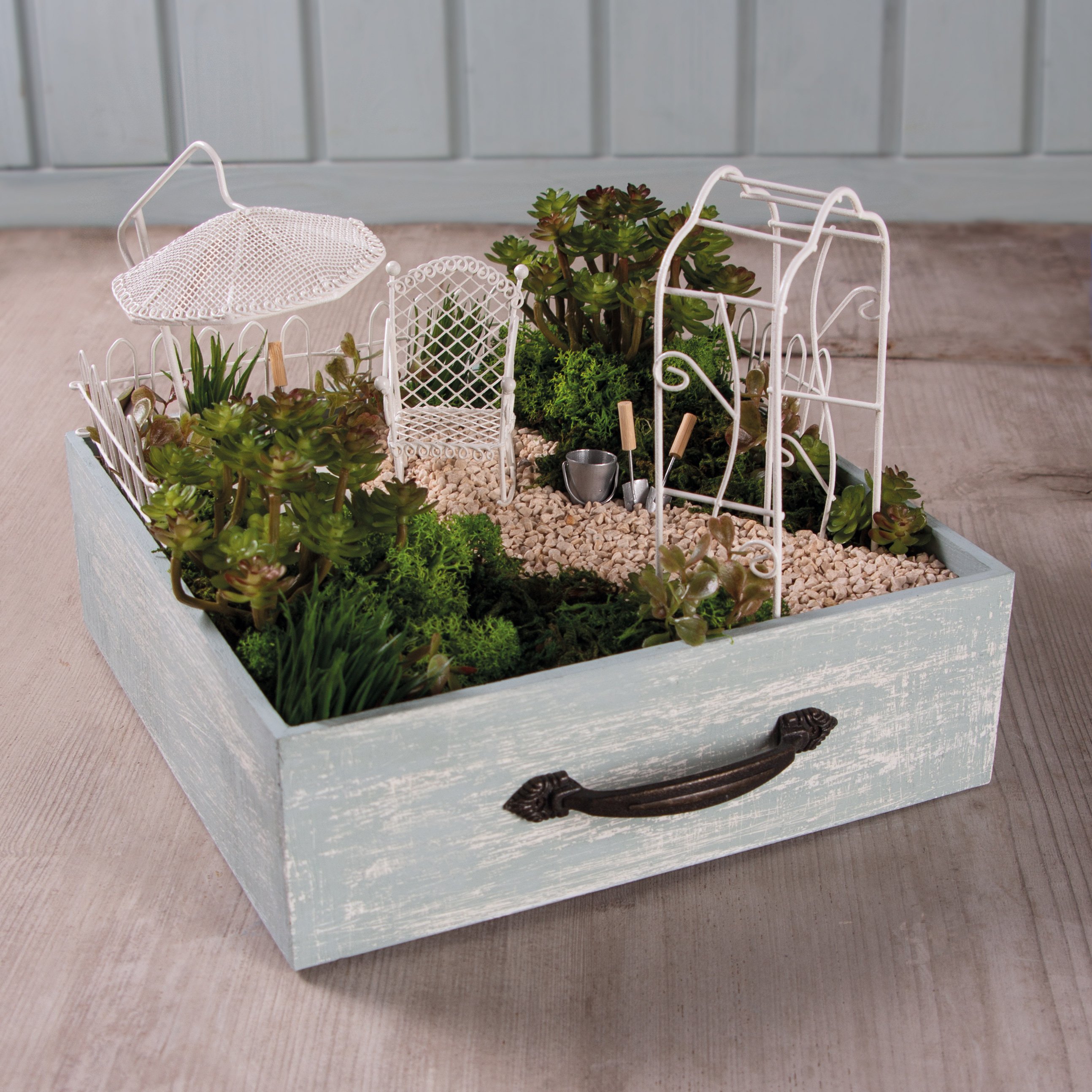 Wooden drawer with mini-garden