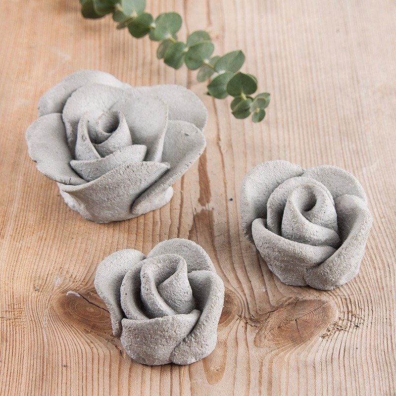 Rose out of kneading-cement