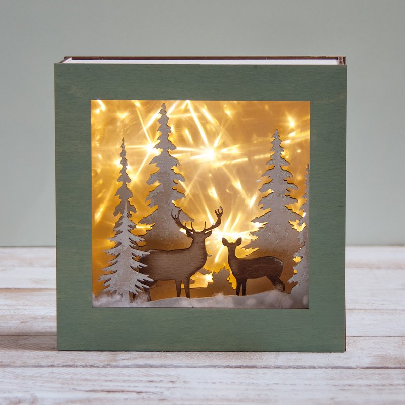 Your story-in a Box: Deer & Forest